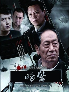 暗警剧情介绍_天天影视
