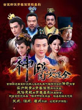 神医安道全剧情介绍_天天影视