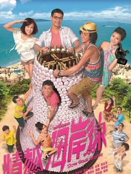 情越海岸线剧情介绍_天天影视