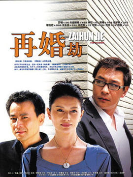 再婚劫剧情介绍_天天影视