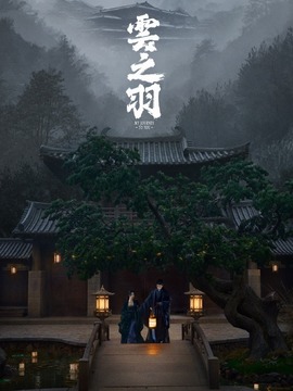 云之羽剧情介绍_天天影视