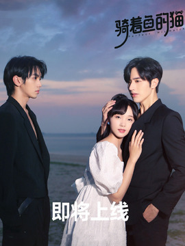 骑着鱼的猫剧情介绍_天天影视