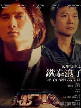 铁拳浪子剧情介绍_天天影视