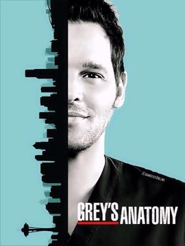 实习医生格蕾第十三季剧情介绍_天天影视