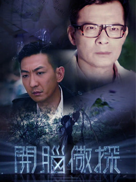 开脑儆探剧情介绍_天天影视