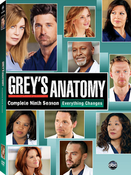 实习医生格蕾第九季剧情介绍_天天影视