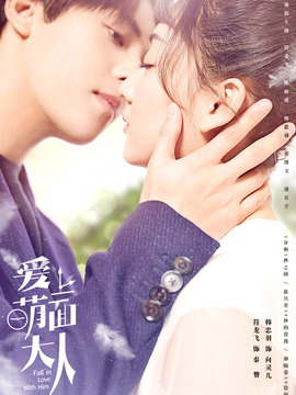 爱上萌面大人剧情介绍_天天影视