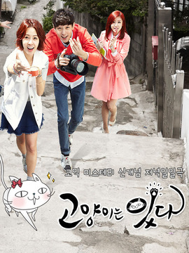 猫来了！喵剧情介绍_天天影视