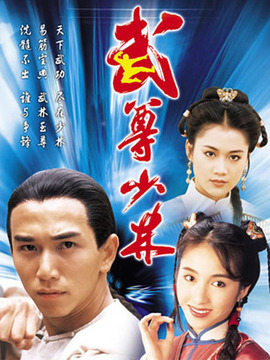 武尊少林剧情介绍_天天影视