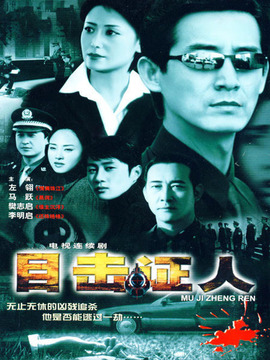 目击证人剧情介绍_天天影视