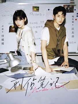 刑侦笔记剧情介绍_天天影视