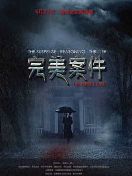 完美案件剧情介绍_天天影视