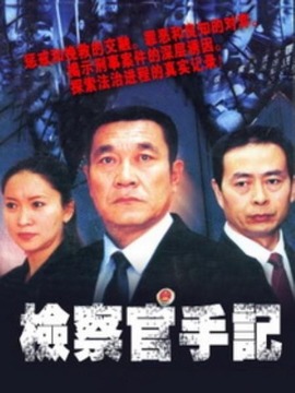 检察官手记剧情介绍_天天影视