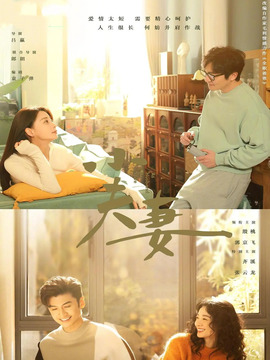 小夫妻剧情介绍_天天影视