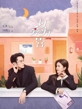 以爱为营剧情介绍_天天影视