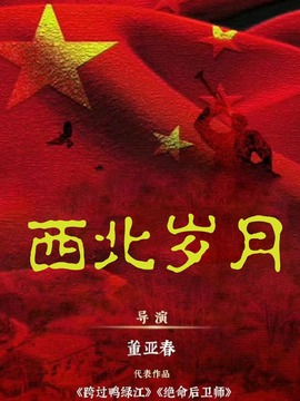 西北岁月剧情介绍_天天影视
