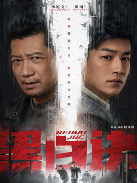 黑白诀剧情介绍_天天影视