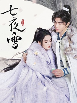 七夜雪剧情介绍_天天影视