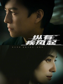 纵有疾风起剧情介绍_天天影视