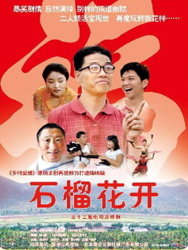 石榴花开剧情介绍_天天影视