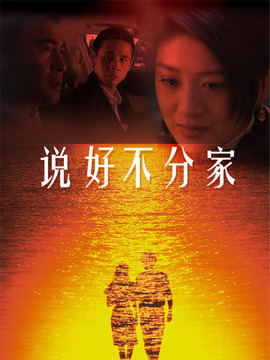 说好不分家剧情介绍_天天影视