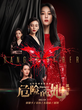 危险的她第二季剧情介绍_天天影视