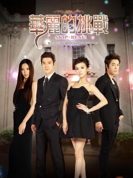 华丽的挑战剧情介绍_天天影视