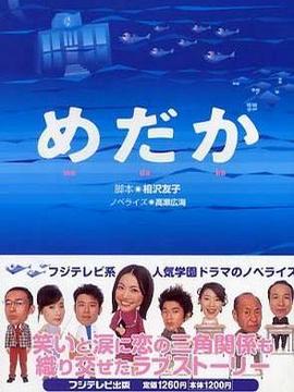 菜鸟老师来报到剧情介绍_天天影视