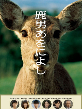 鹿男与美丽的奈良剧情介绍_天天影视