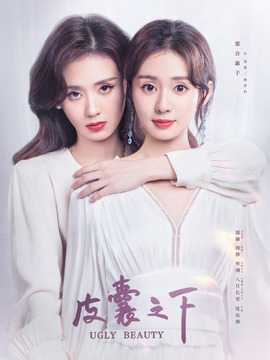 皮囊之下剧情介绍_天天影视