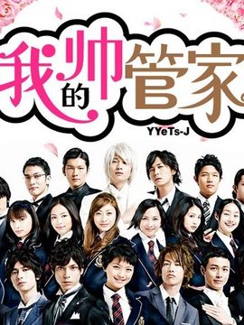 我的帅管家剧情介绍_天天影视