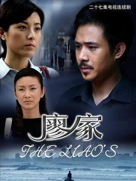 廖家剧情介绍_天天影视