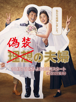 伪装夫妇剧情介绍_天天影视