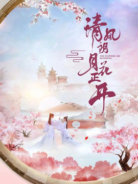 清风朗月花正开剧情介绍_天天影视