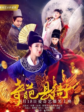 奇葩县衙剧情介绍_天天影视