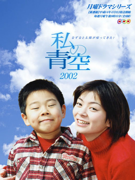 小妈妈的天空剧情介绍_天天影视
