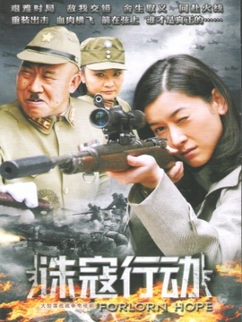 诛寇行动剧情介绍_天天影视