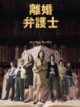 离婚女律师剧情介绍_天天影视