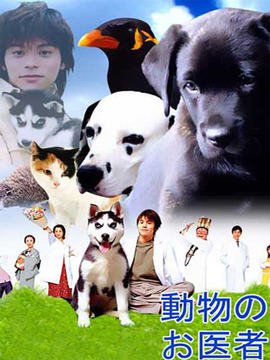 迷糊动物医生剧情介绍_天天影视