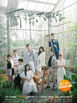 可惜不是你剧情介绍_天天影视