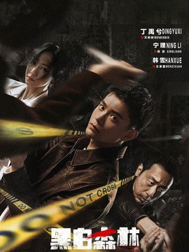 黑白森林剧情介绍_天天影视