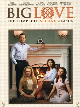 大爱第二季剧情介绍_天天影视