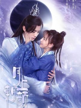 月上朝颜剧情介绍_天天影视