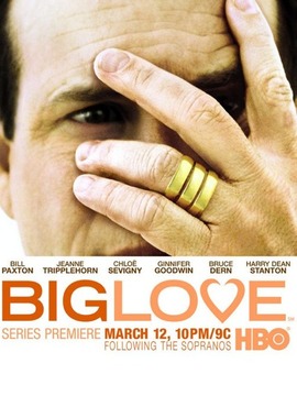 大爱第一季剧情介绍_天天影视