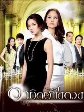 征服太阳剧情介绍_天天影视