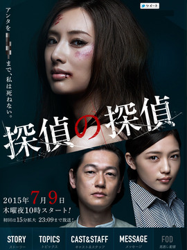 侦探的侦探剧情介绍_天天影视