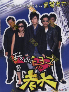 我的儿子是老大剧情介绍_天天影视