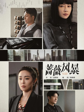 蔷薇风暴剧情介绍_天天影视